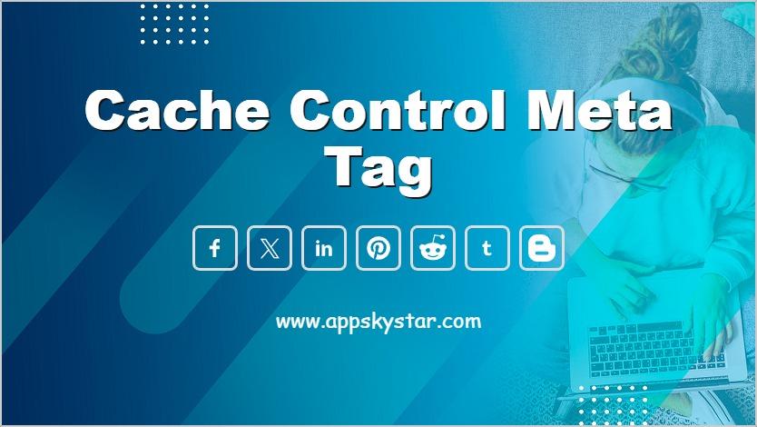 Cache Control Meta Tag