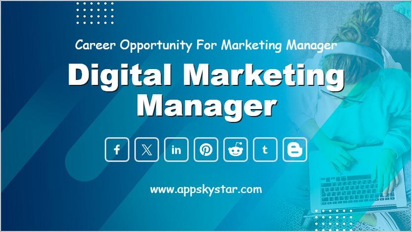 Digital Marketing Expert