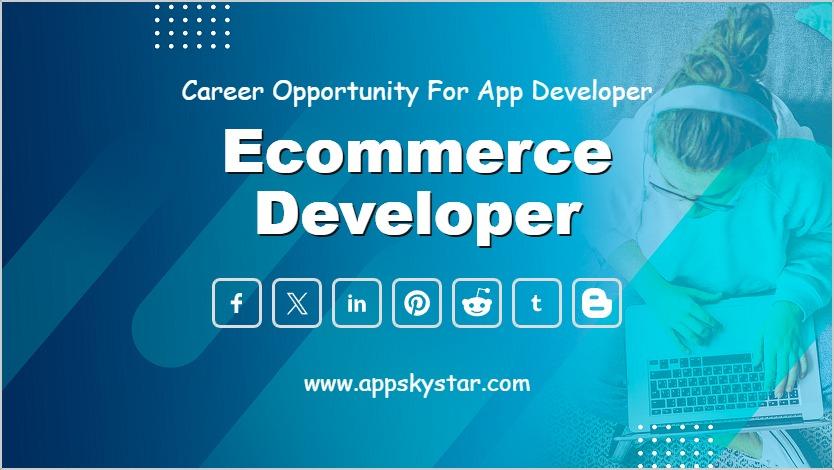 Ecommerce Developer