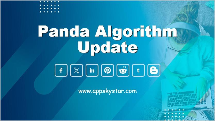 Panda Algorithm Update