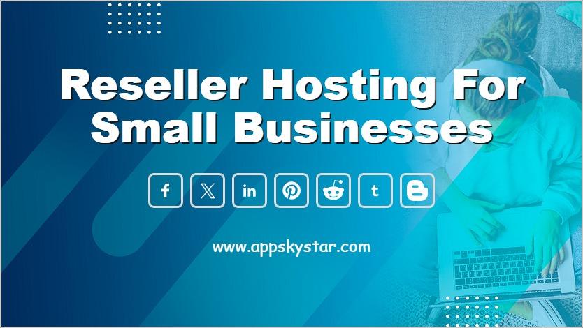 Reseller Hosting for Small Businesses