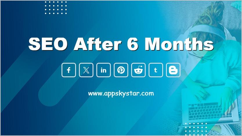 SEO After 6 Months