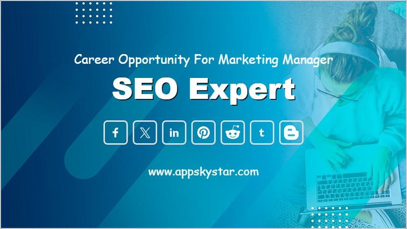 SEO Expert