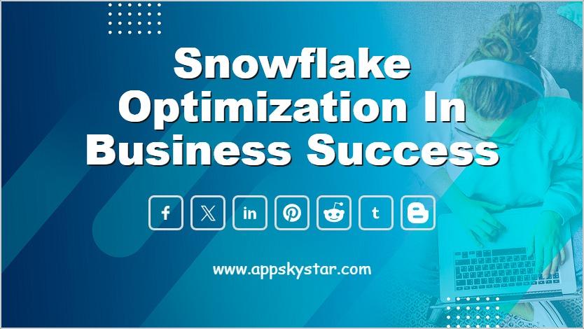 Snowflake Optimization in Business Success