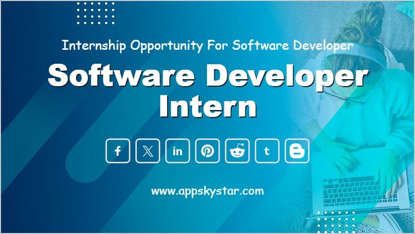 Software Developer Intern