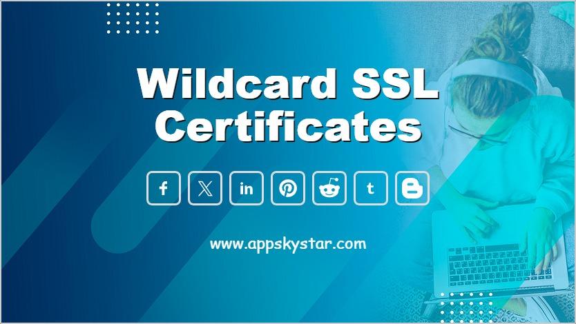 Wildcard SSL Certificates